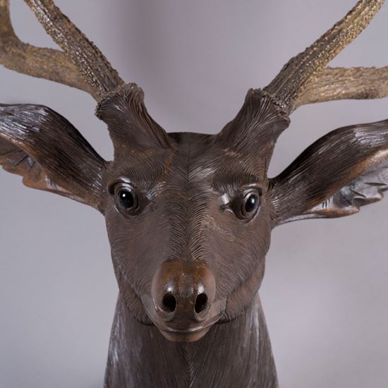 A Rare Life-Sized Black Forest Stag's Head