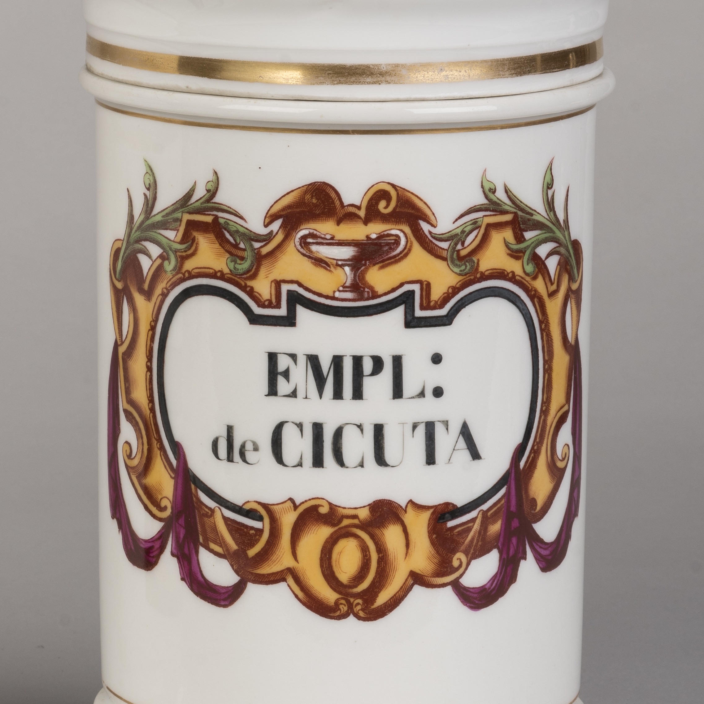 A Set of Two Porcelain Apothecary jars