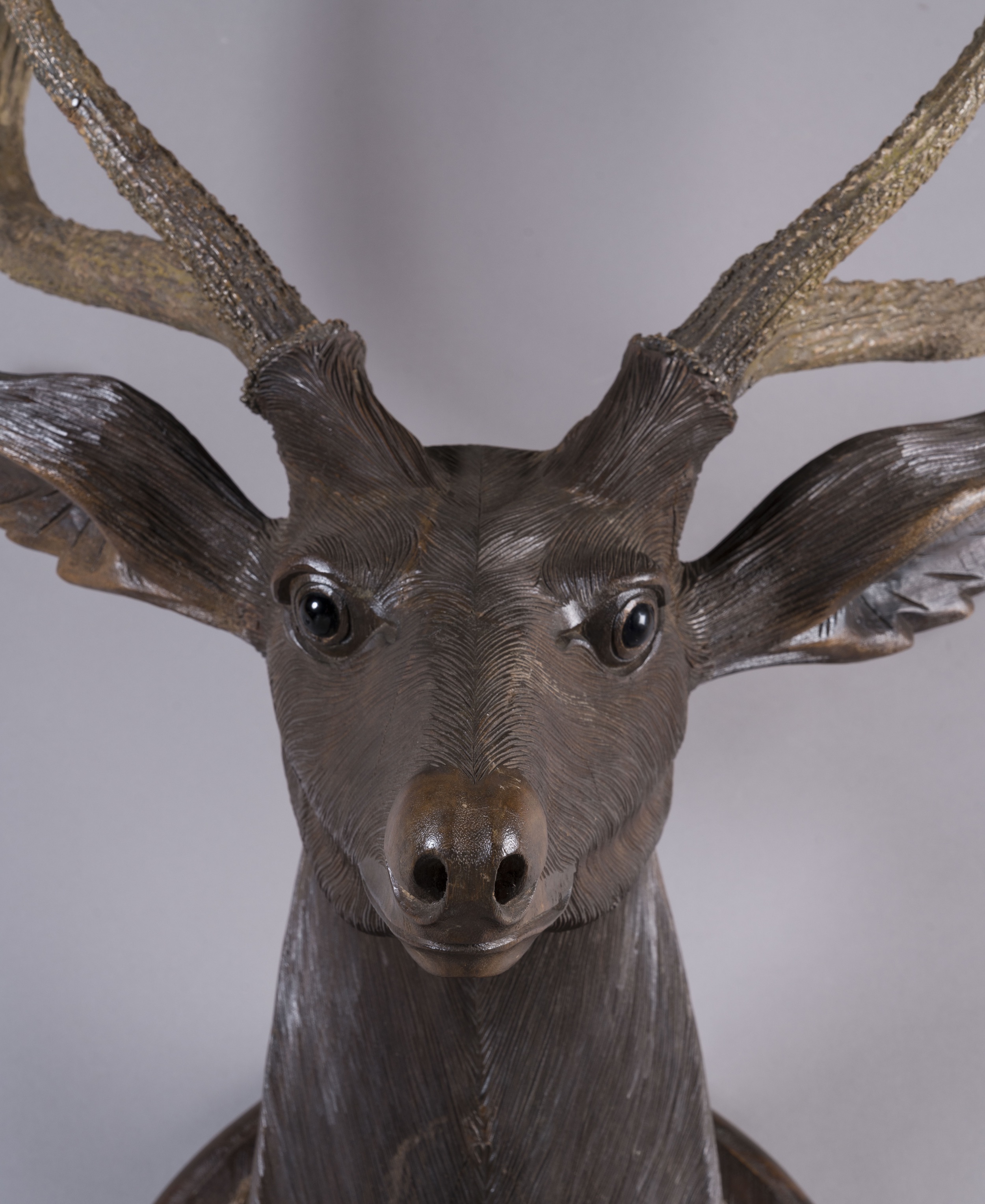 A Rare Life-Sized Black Forest Stag's Head