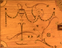 Satinwood